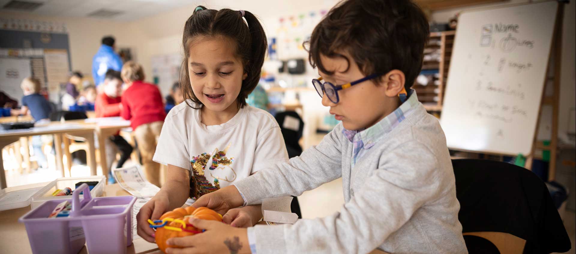 10-17-24BDS20451-HP-2025