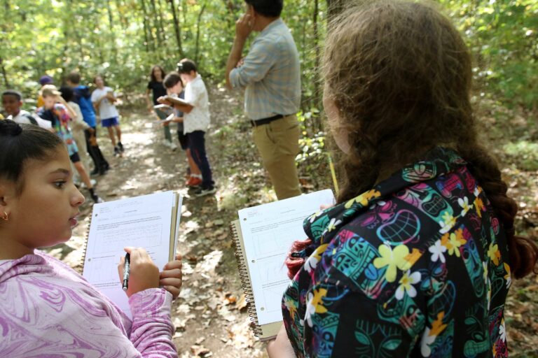 Students record observations in the woodland around campus