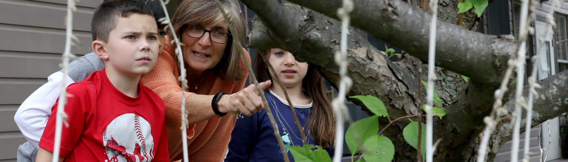 Second grade teacher with two students observing tree features