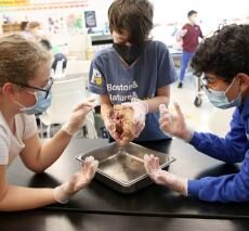 bds fifth science cow heart 3 030222web