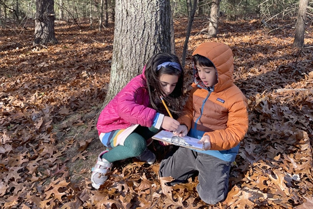 Two students collaborate in the woods during an outdoor PE exploration