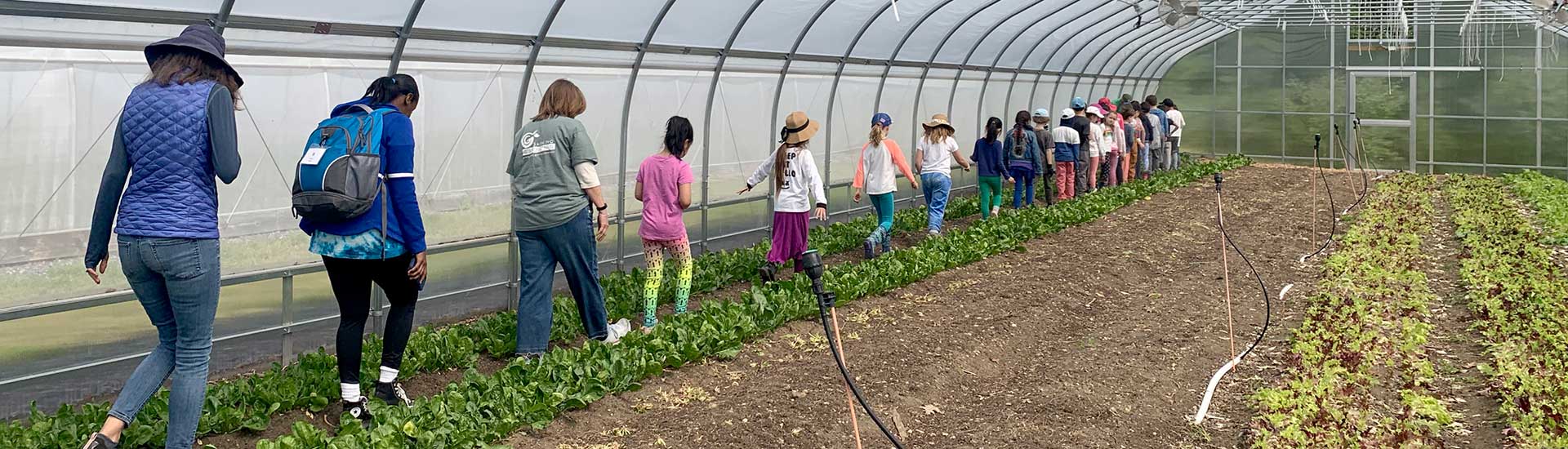 Second graders walk single-file from a greenhouse at Gaining Ground